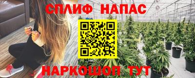 ГАЛЛЮЦИНОГЕННЫЕ ГРИБЫ Канаш
